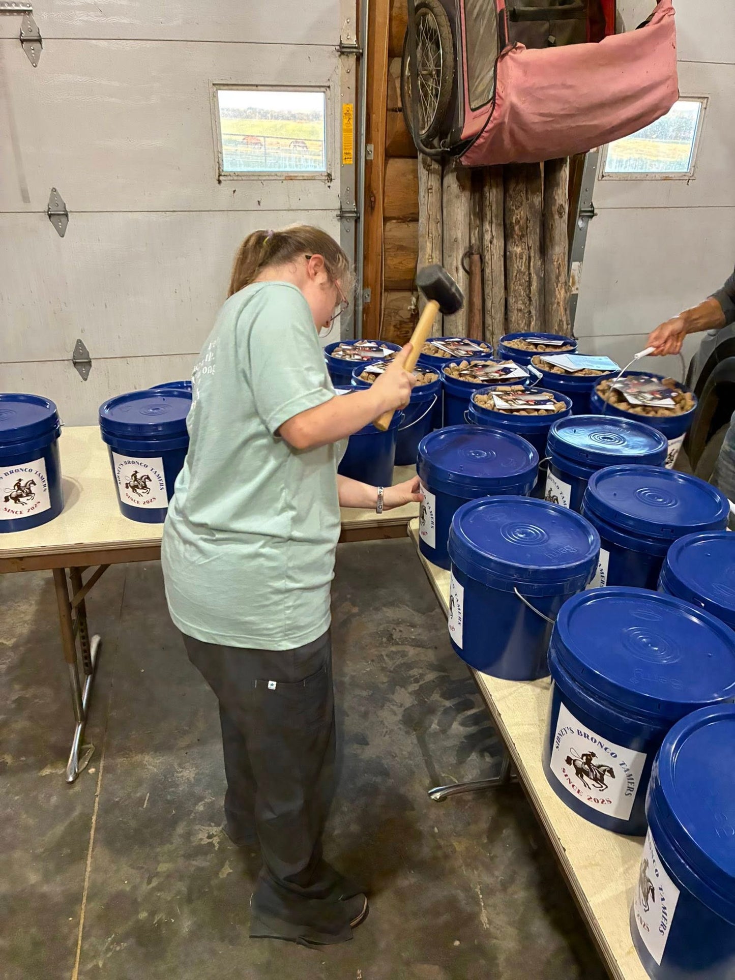 Sidney's Bronco Tamers Horse Treats